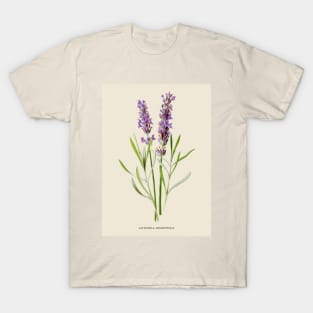 Lavender Antique Botanical Illustration T-Shirt